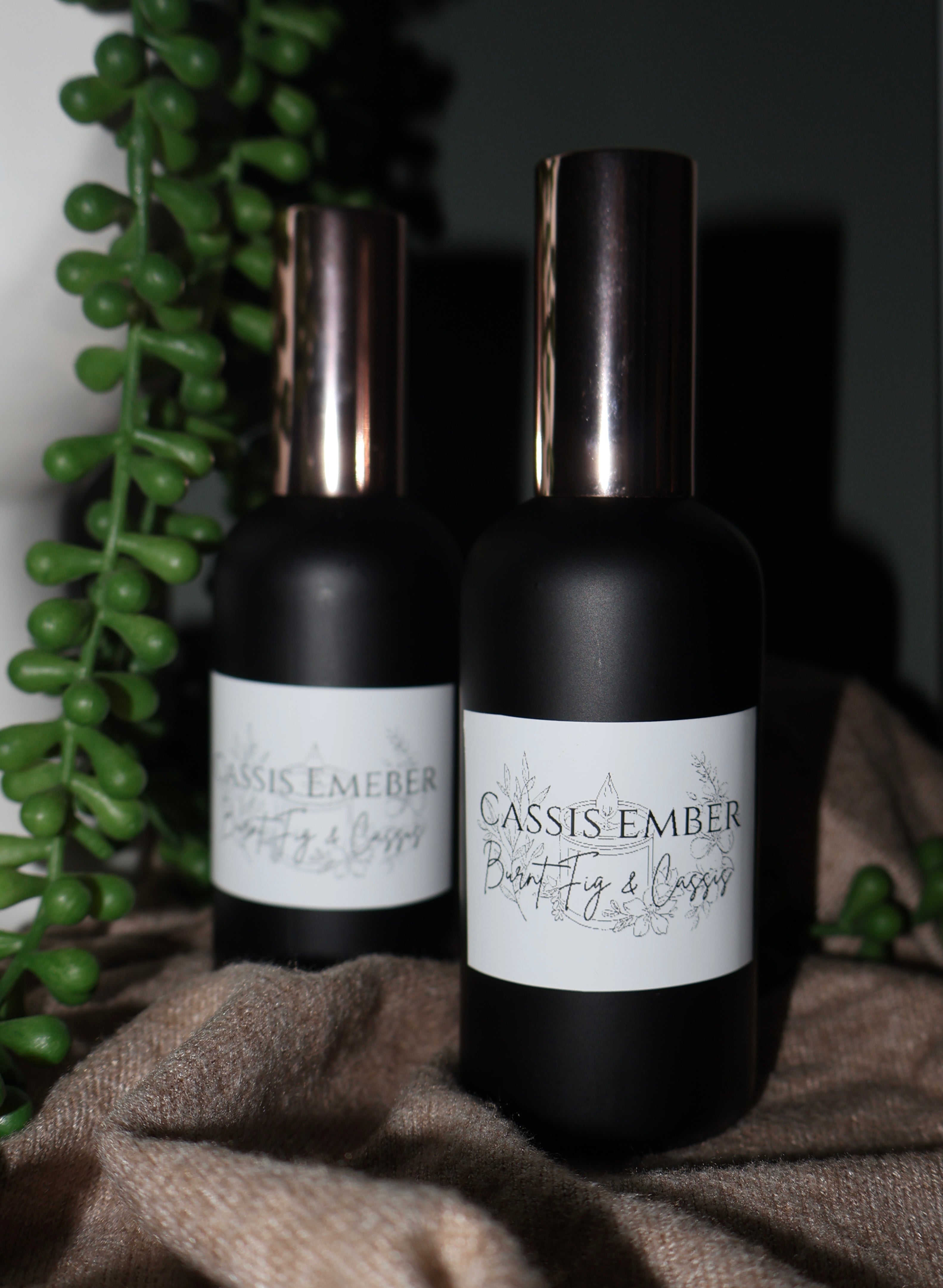 Cassis Ember